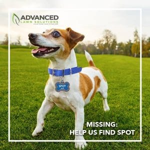 Advanced Lawn Solutions Facebook interactive campaign. Murfreesboro, TN